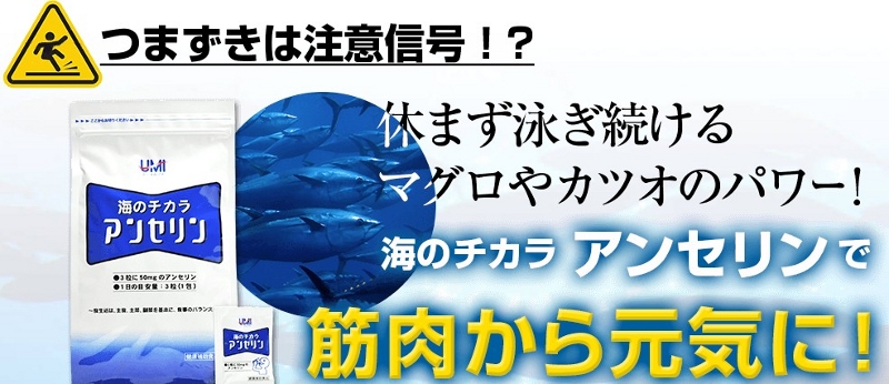 �C�̃`�J���I�A���Z�������T�C�g